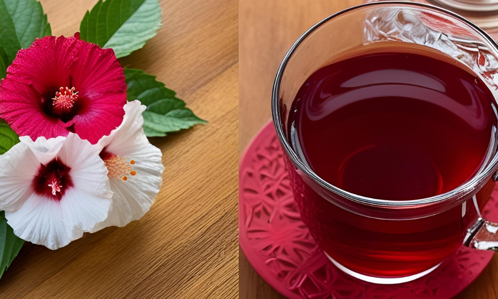 Chá de Hibisco para Pressão Alta: Natural e Fácil de Fazer